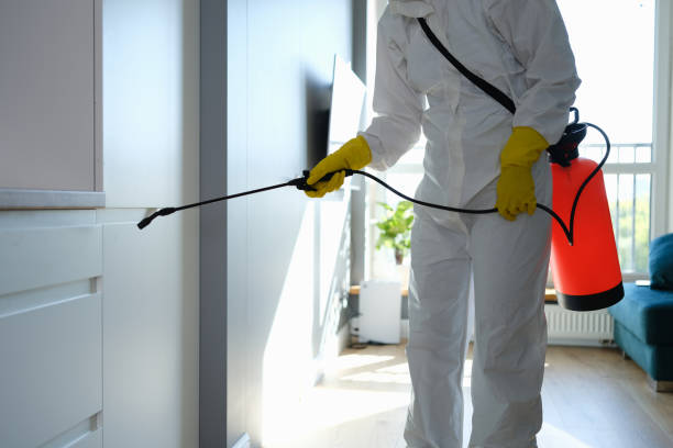 Best Crawl Space Mold Removal  in Horizon West, FL